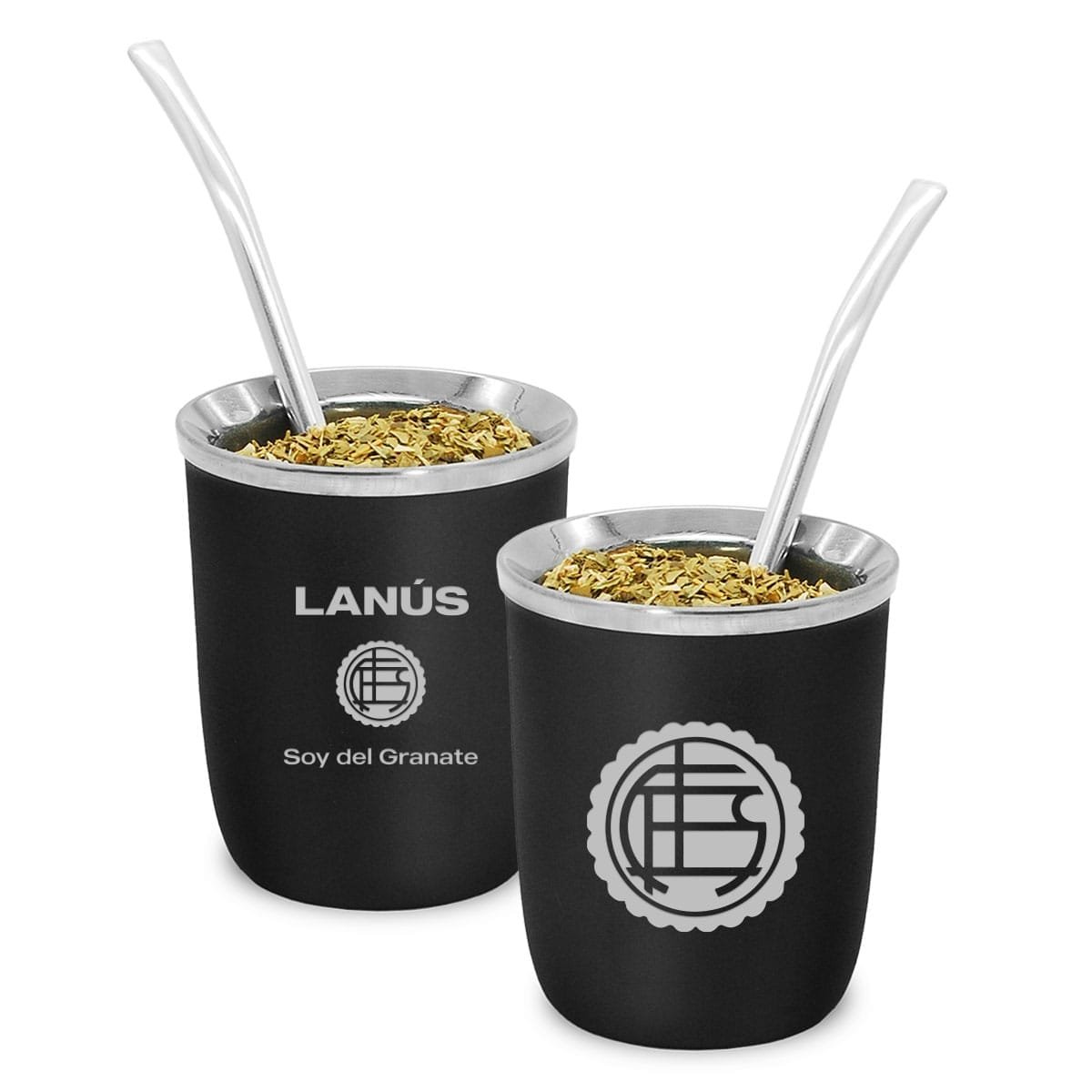 PRINCIPALES_LANUS.jpg
